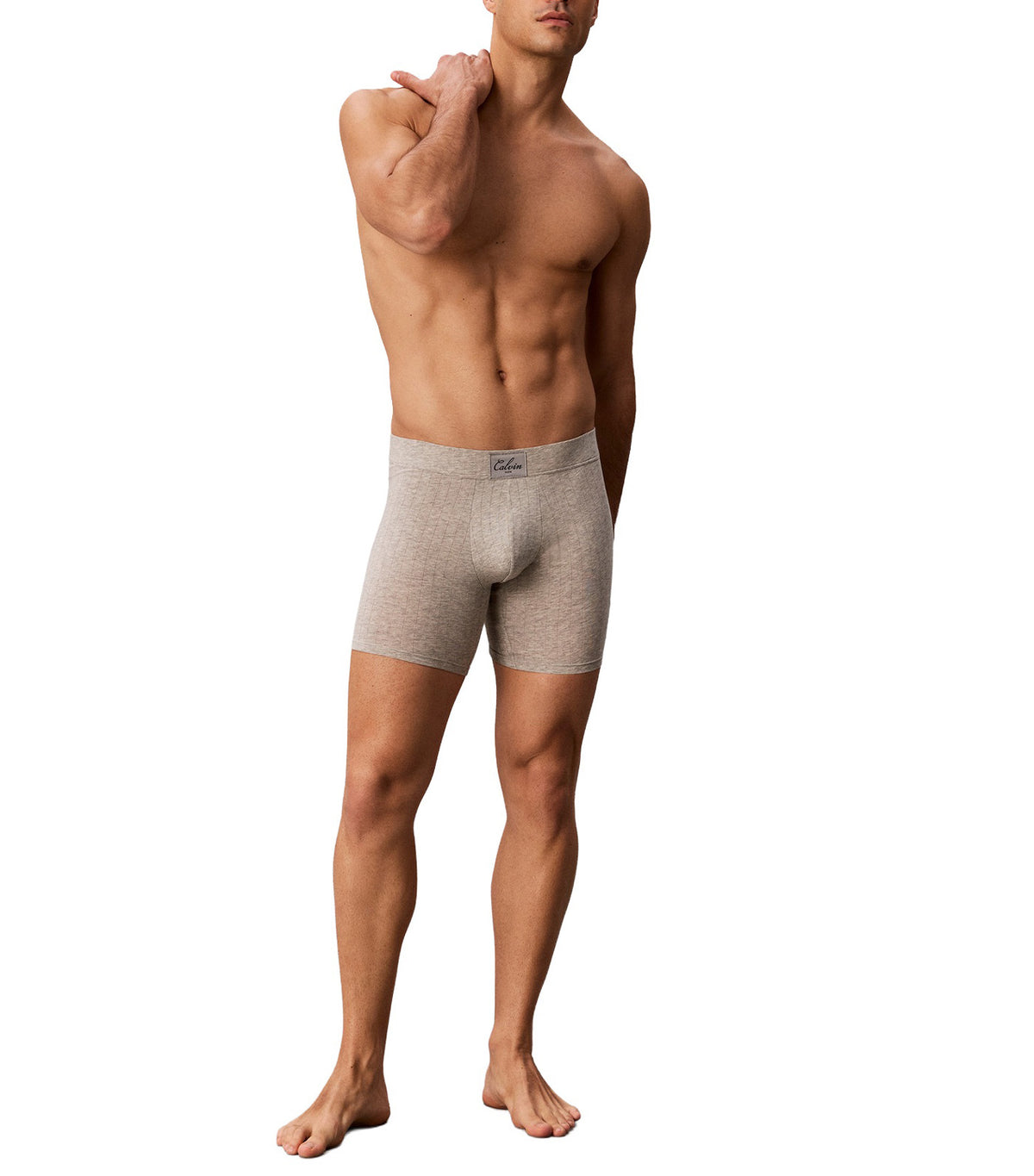 Trunk Gray Heather