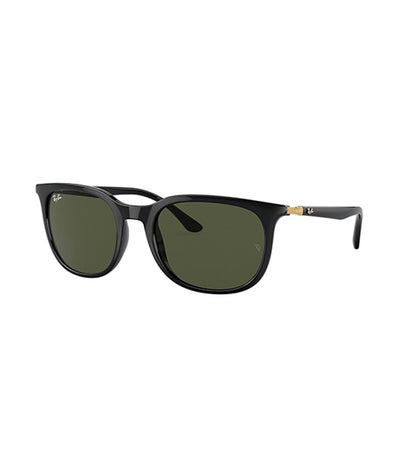 RB4386 Sunglasses Black and Gold