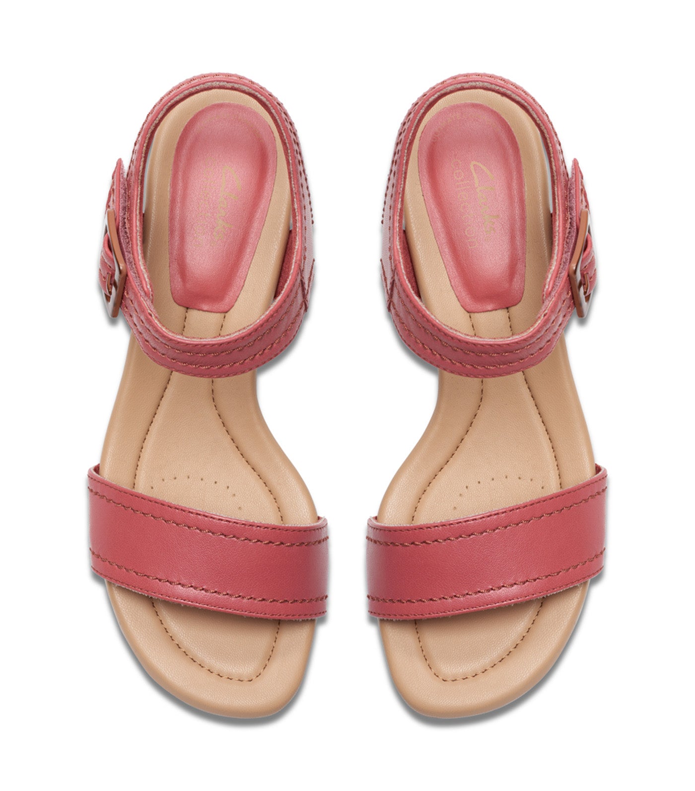 Desirae Coast Dusty Rose