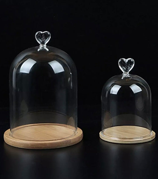 Sugarplum Laila Glass Cloche with Bamboo Base