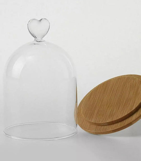 Sugarplum Laila Glass Cloche with Bamboo Base