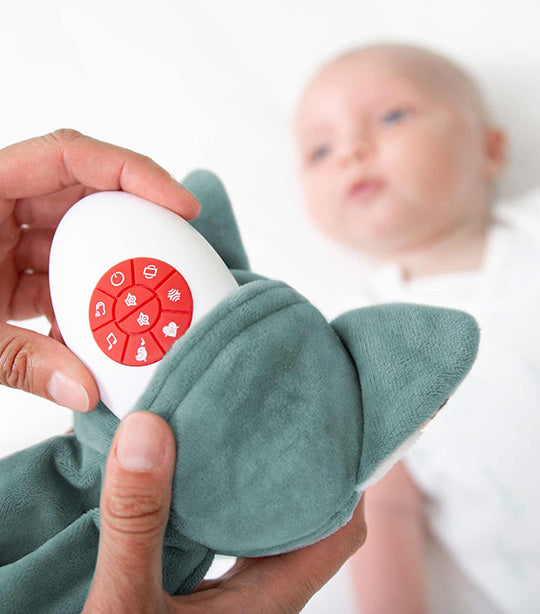 Felix the Fox Sound Machine