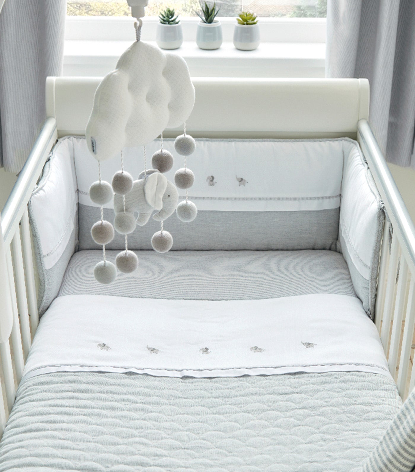 Welcome to the World Elephant