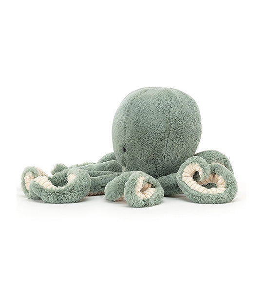 Oddysey Octopus