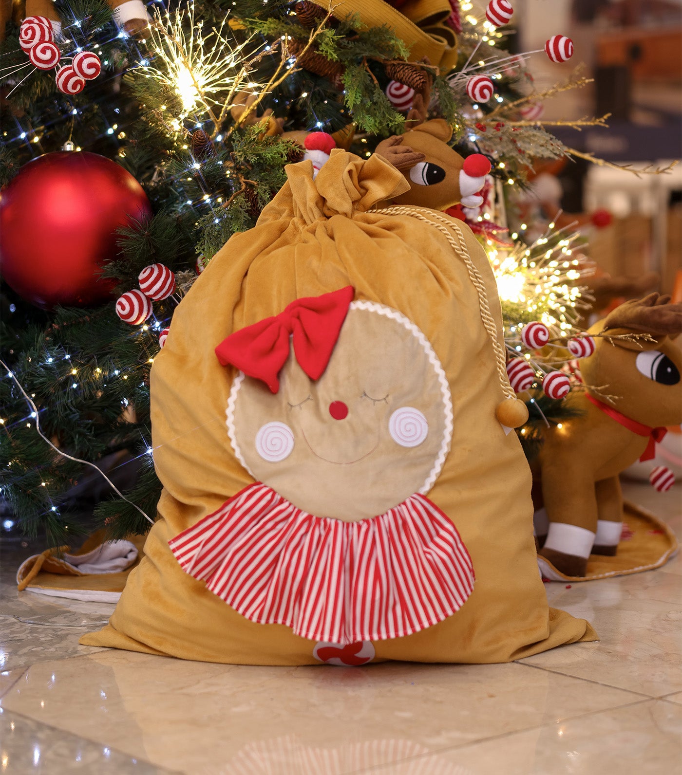 Gingerbread Sack 2 Girl/Boy