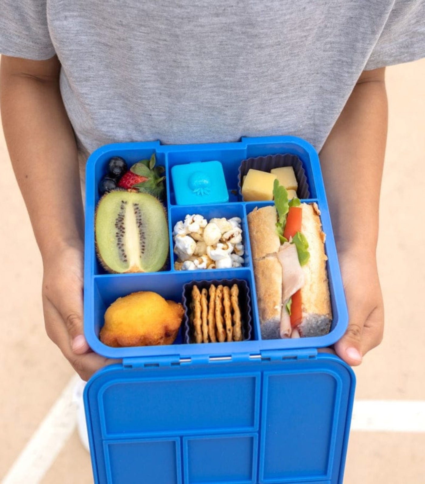 Yumbox Little Lunch Box Co Bento Five Blueberry