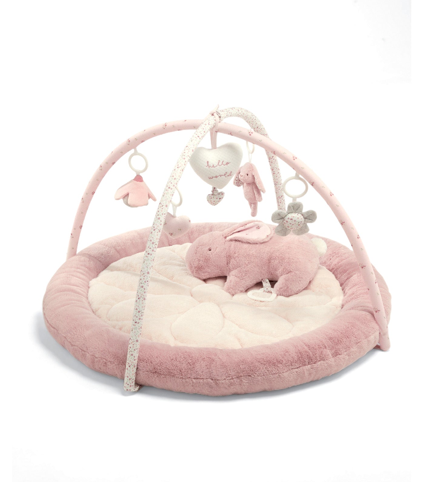 Welcome to the World Bunny