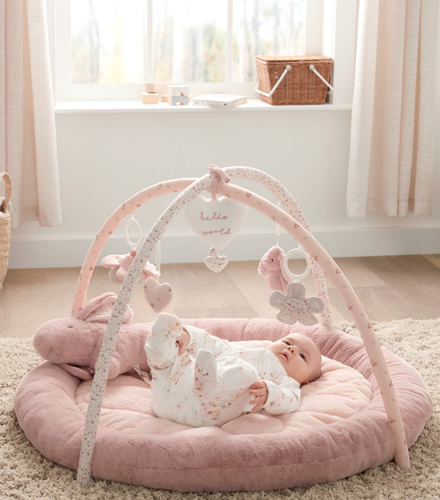 Welcome to the World Bunny