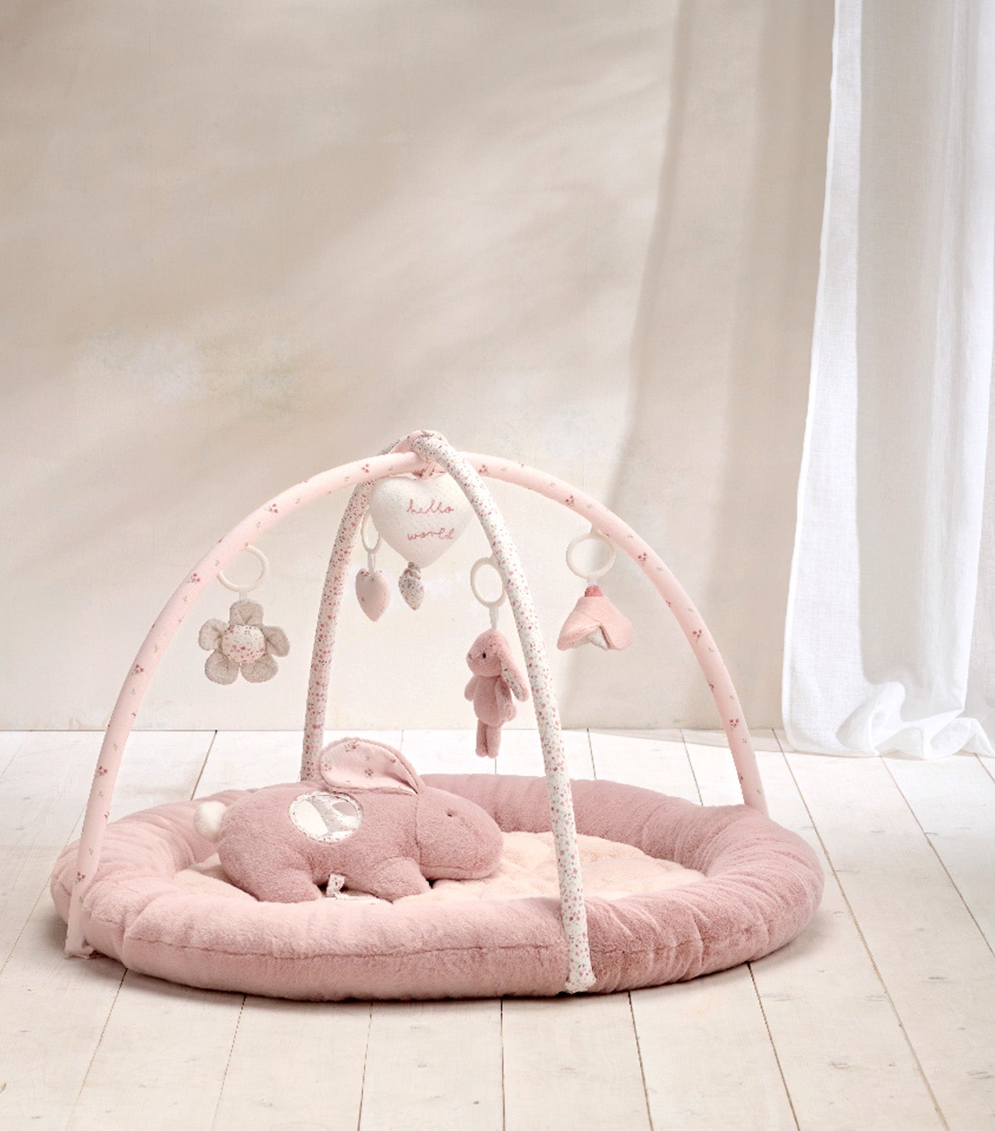 Welcome to the World Bunny