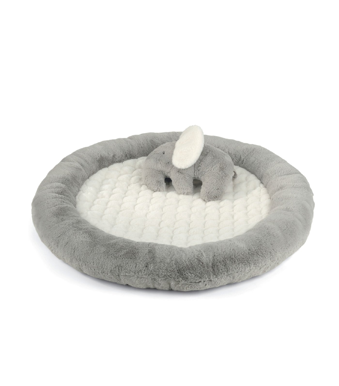 Welcome to the World Elephant