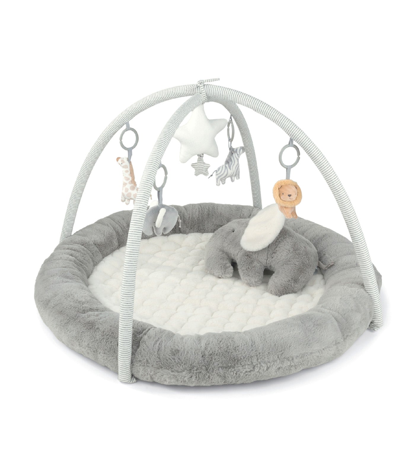 Welcome to the World Elephant