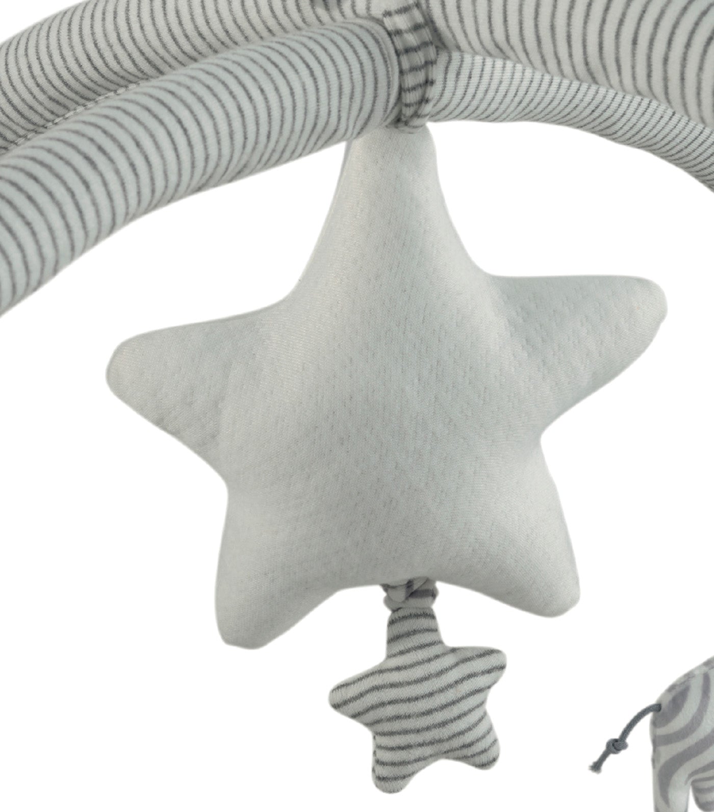 Welcome to the World Elephant