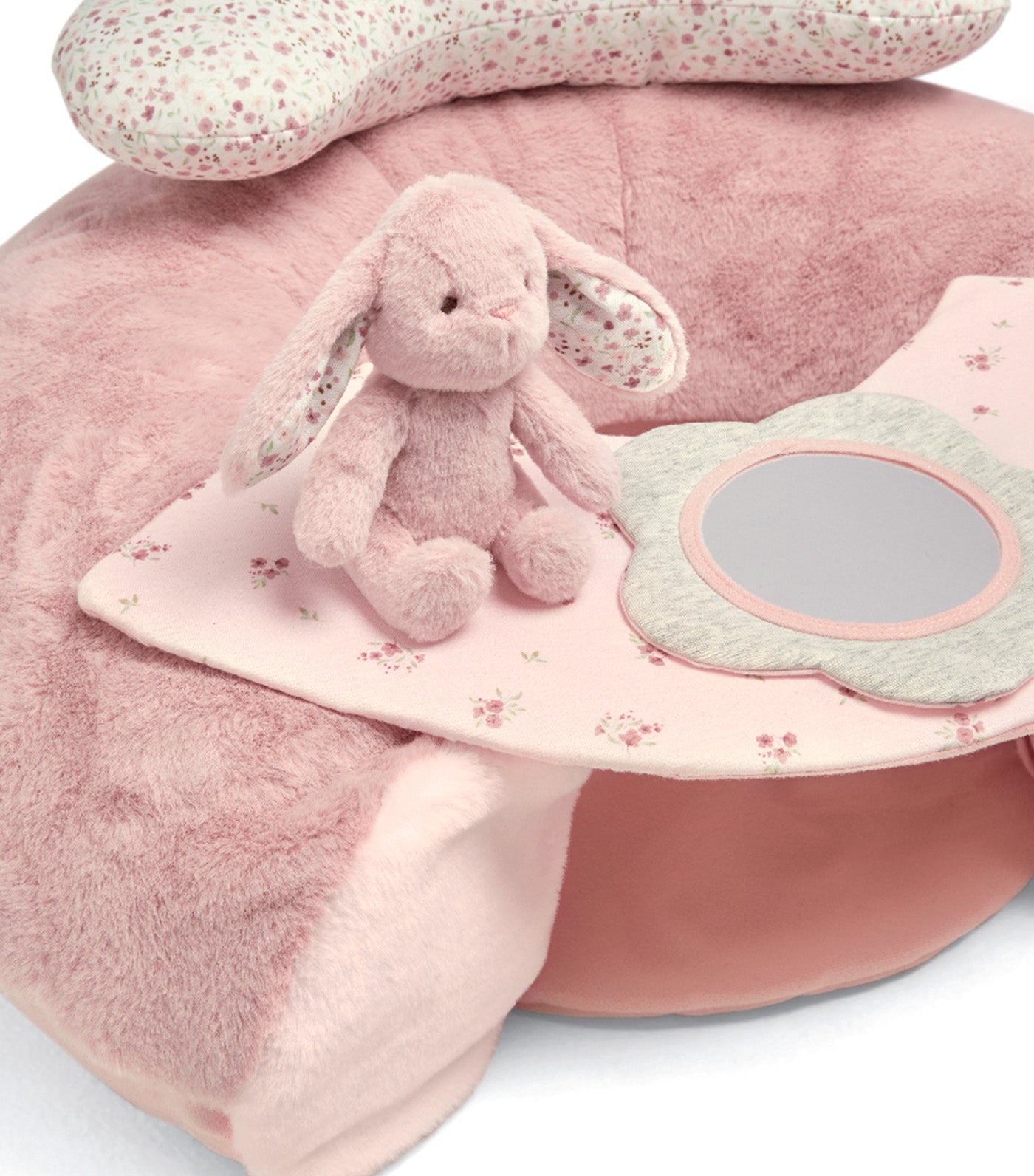 Welcome to the World Bunny