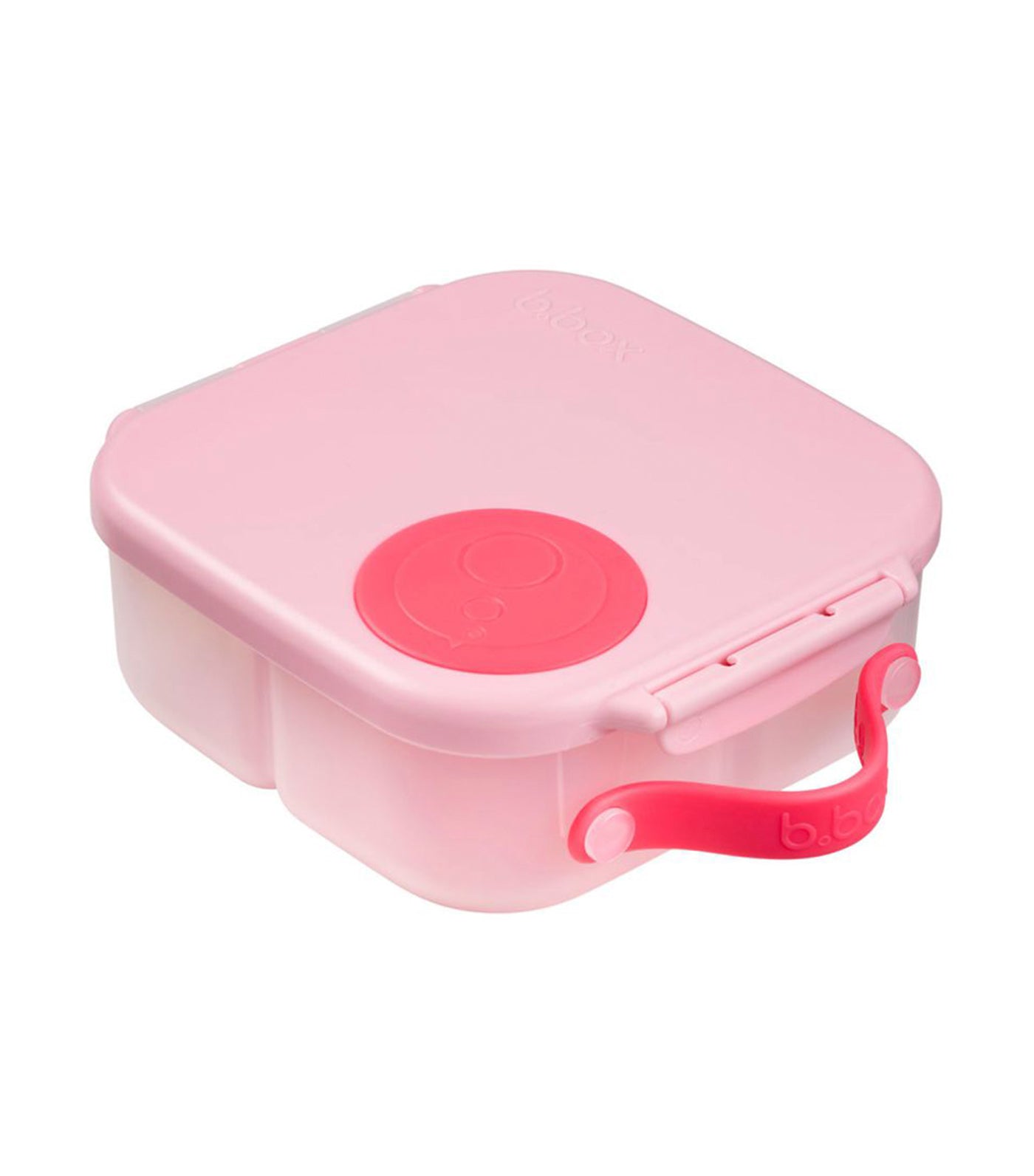 Mini Lunchbox
