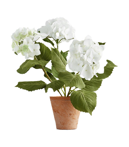 Faux White Hydrangea