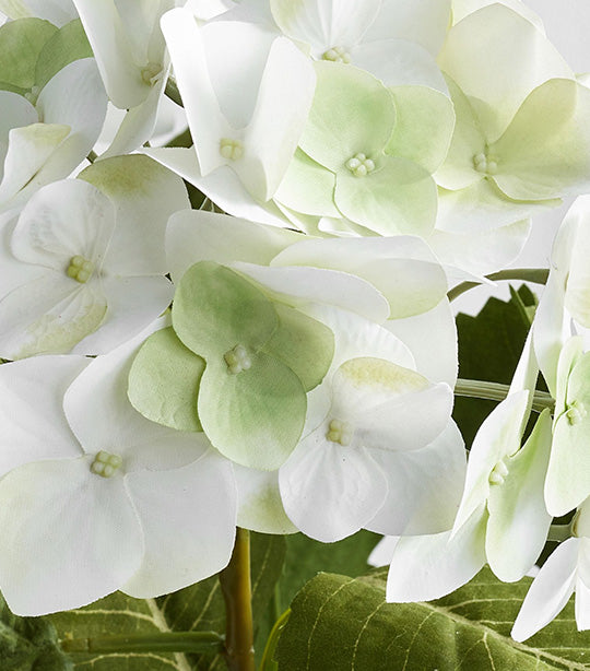 Faux White Hydrangea