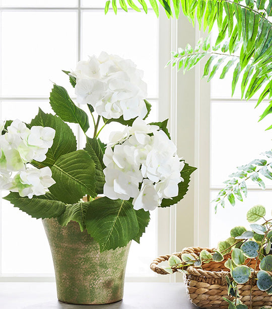 Faux White Hydrangea