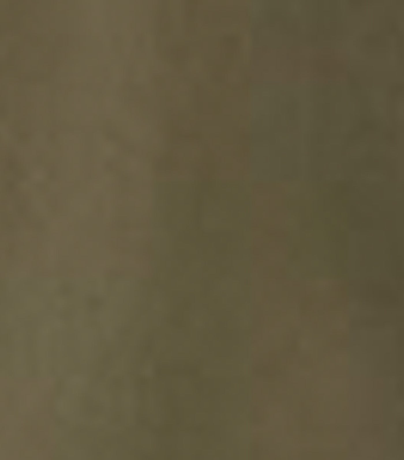 Shell Tank Camo Green