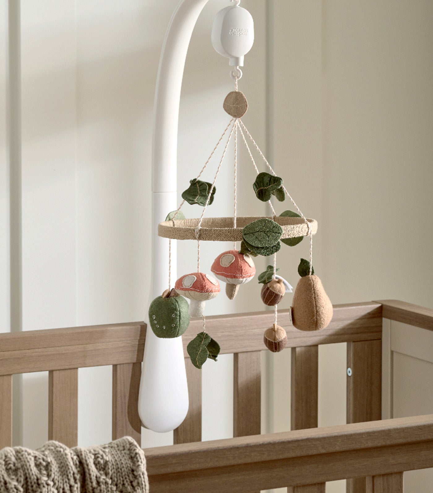 Welcome to the World Seedling