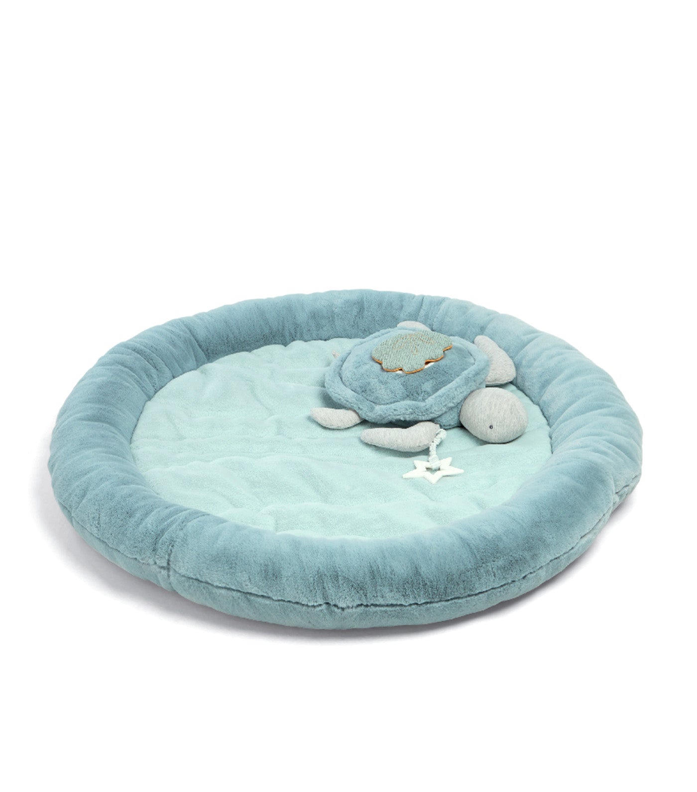 Welcome to the World Under the Sea