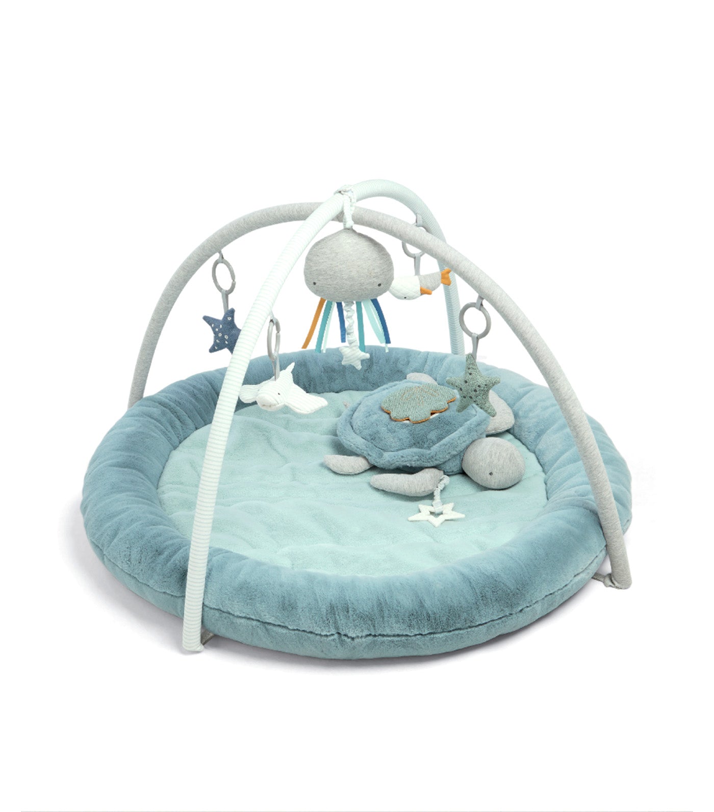 Welcome to the World Under the Sea