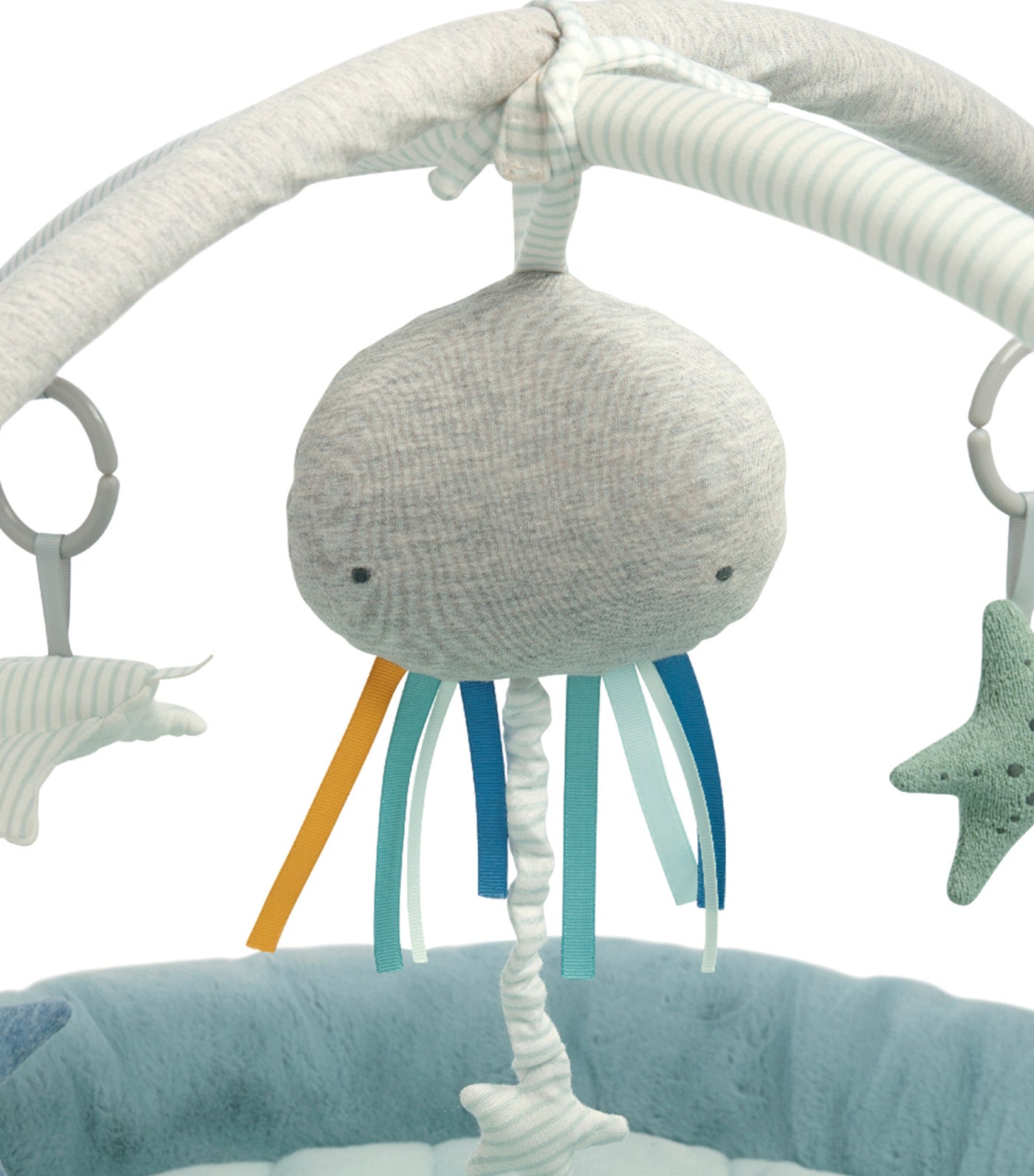 Welcome to the World Under the Sea