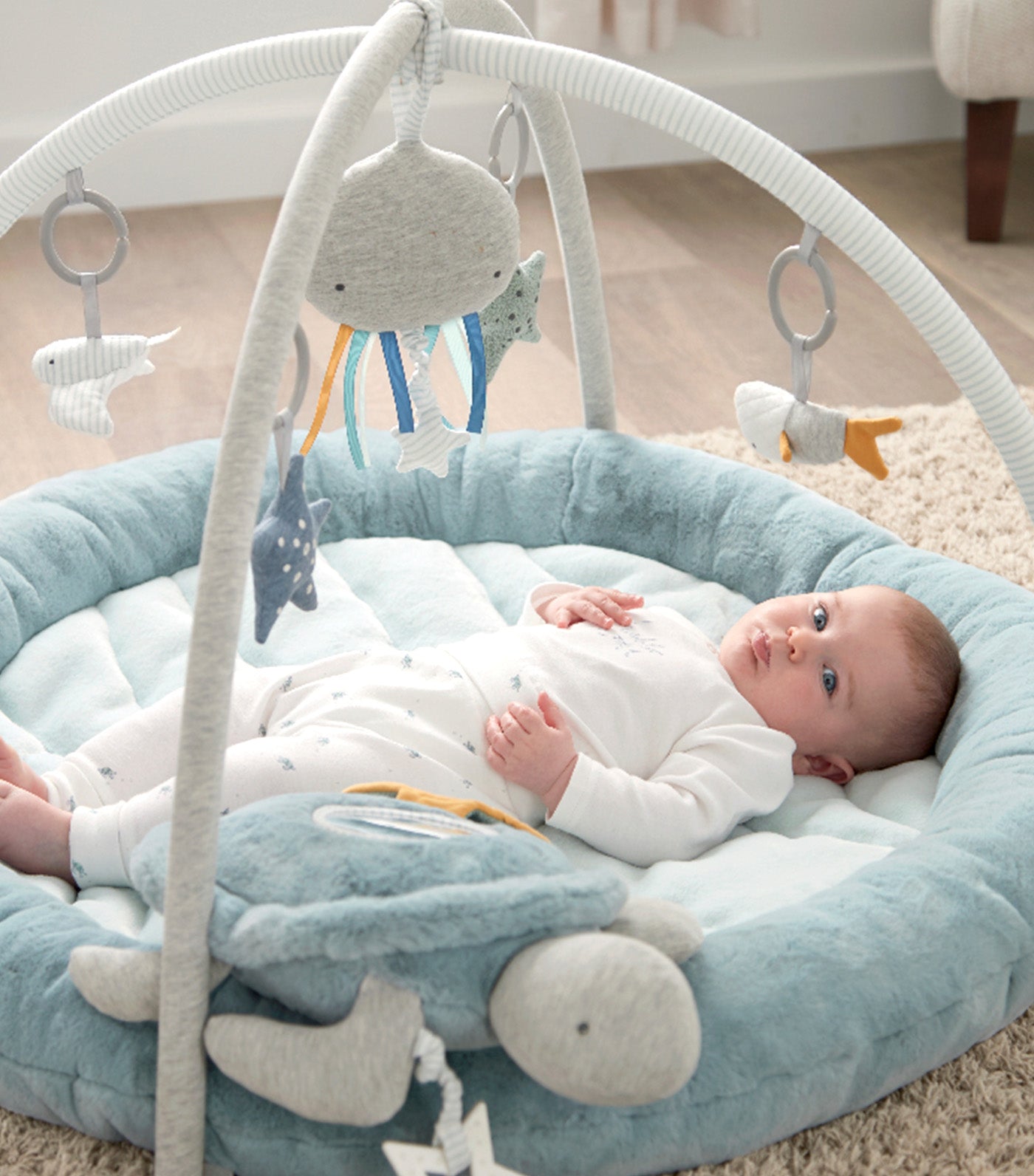 Welcome to the World Under the Sea