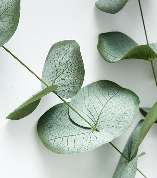 Faux Baby Blue Eucalyptus Branch