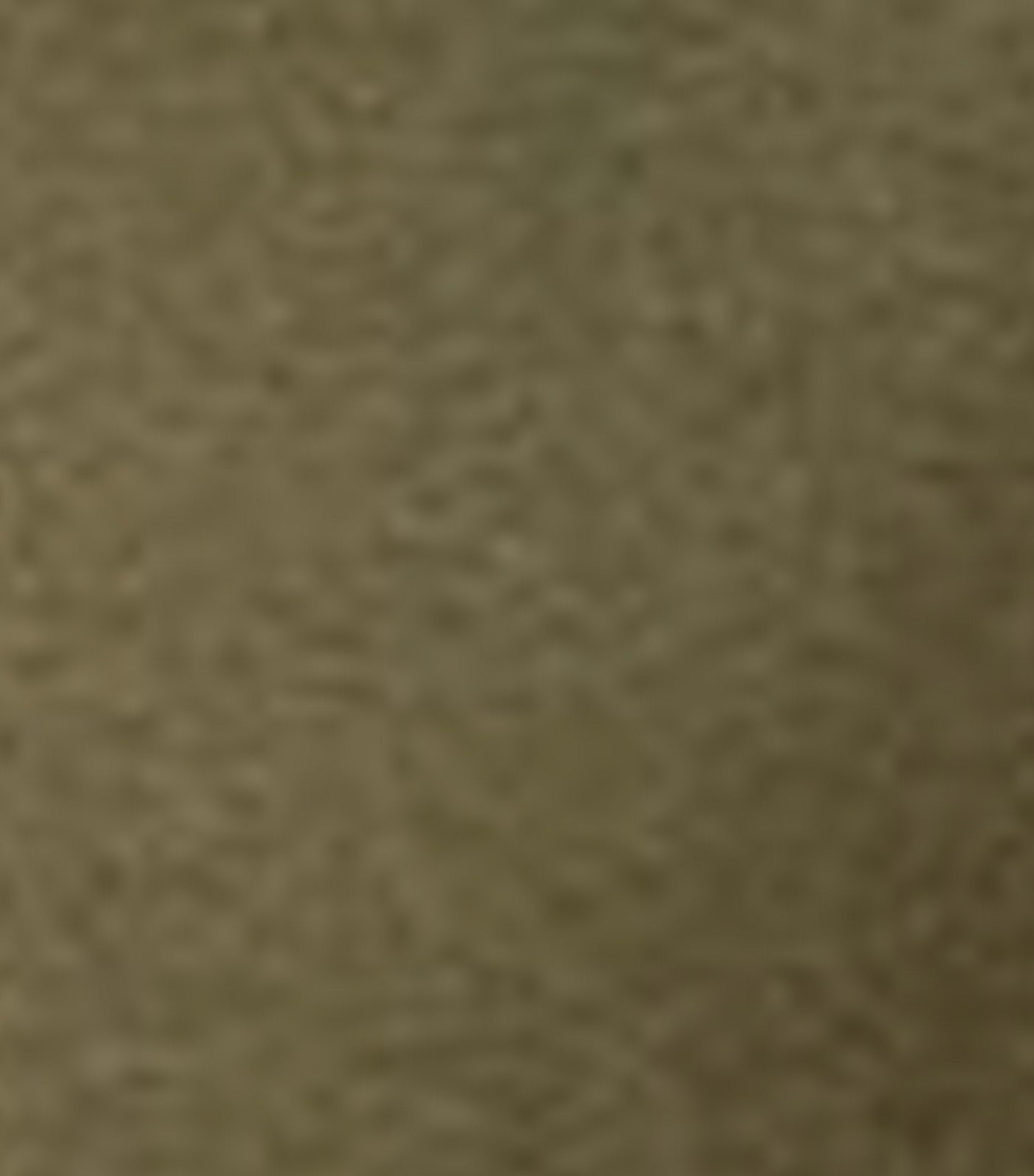 Luxury-Touch T-Shirt Olive Green