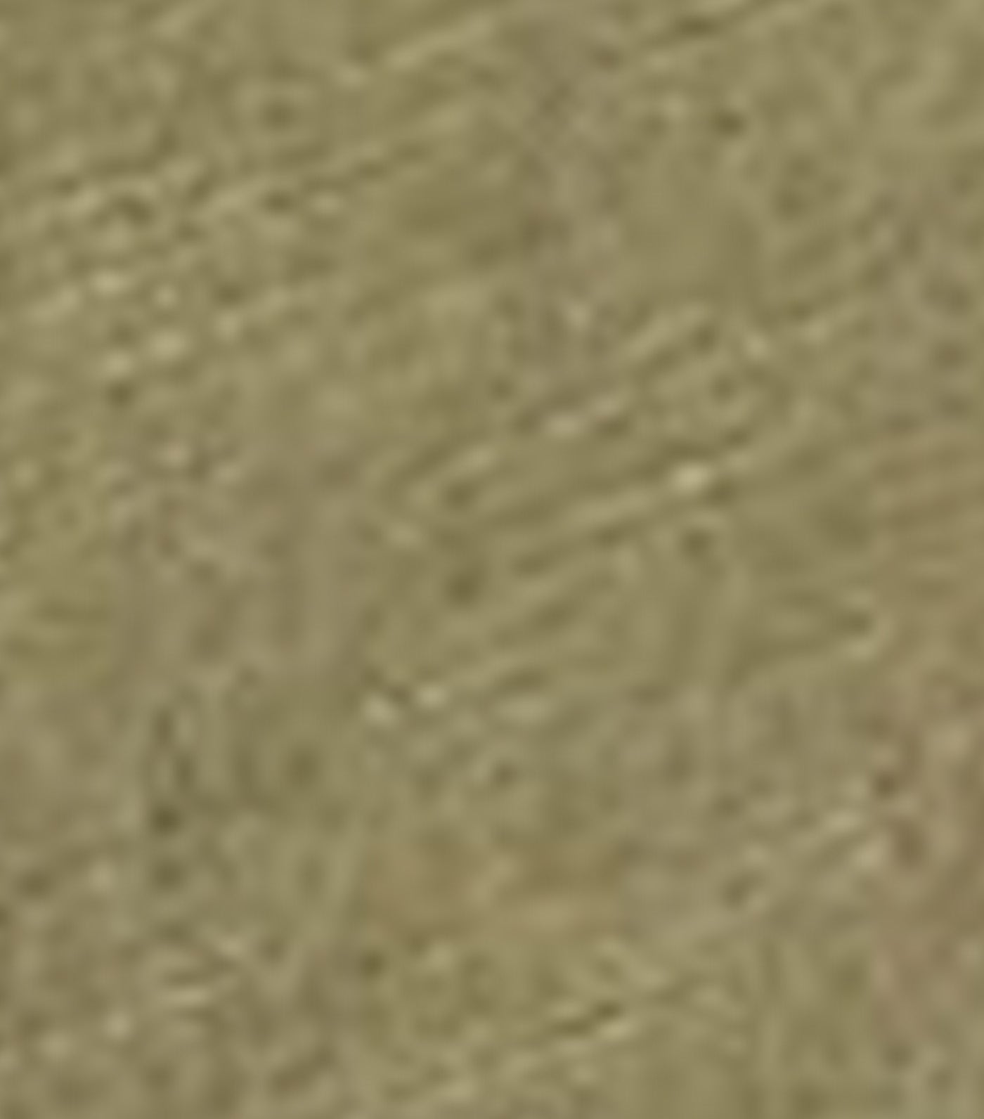 Soft Wash T-Shirt Green