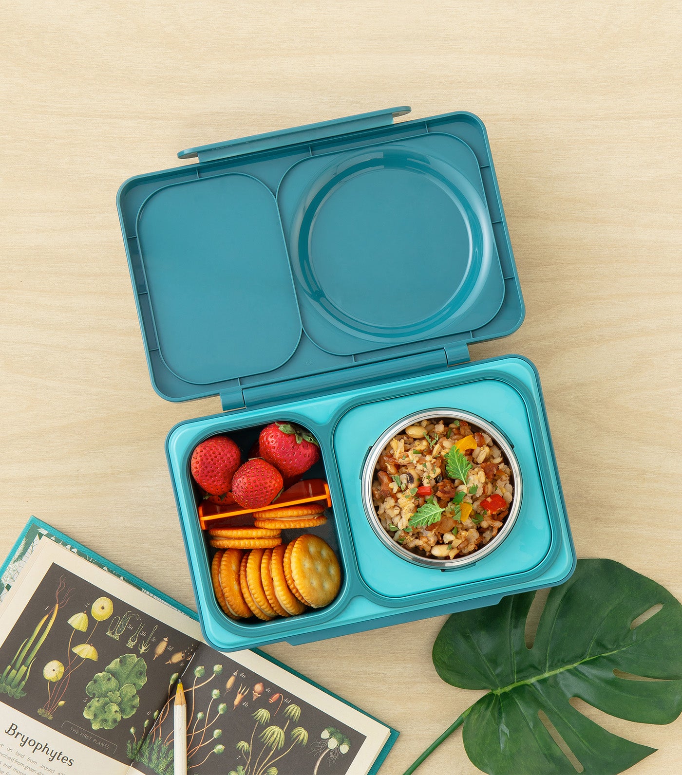 OmieBox® UP Teal Green