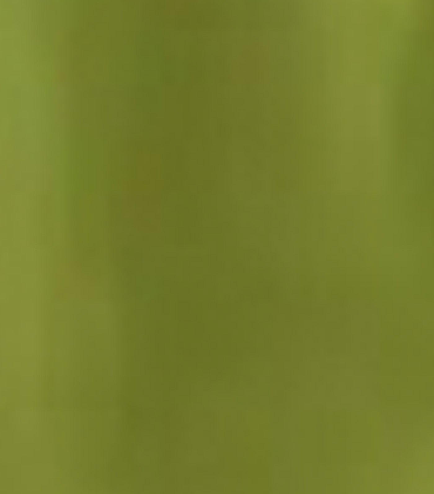 Satin Crepe Mini Dress Bamboo Shoot