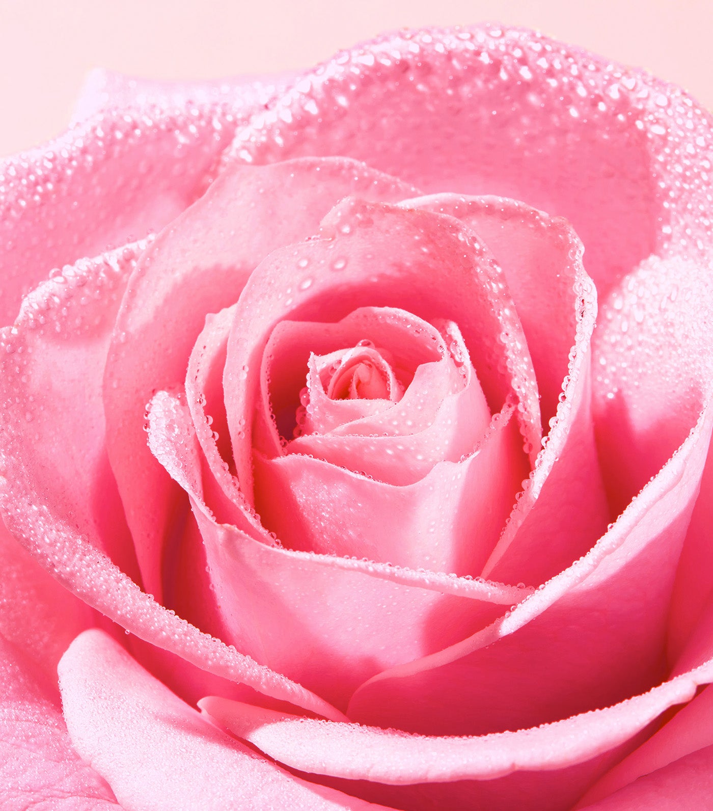 Very Rose Soothing Cleansing Gel