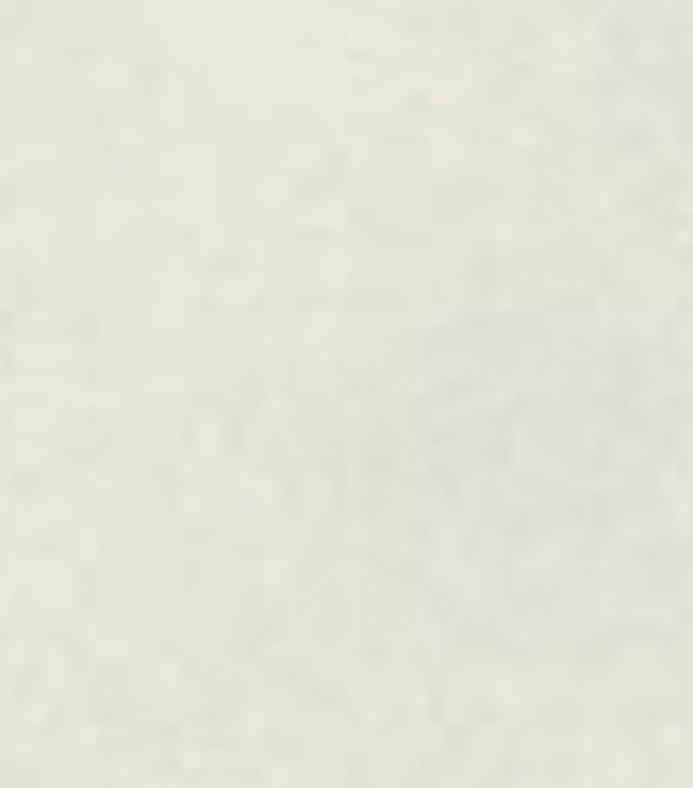 The Perfect Shirt White