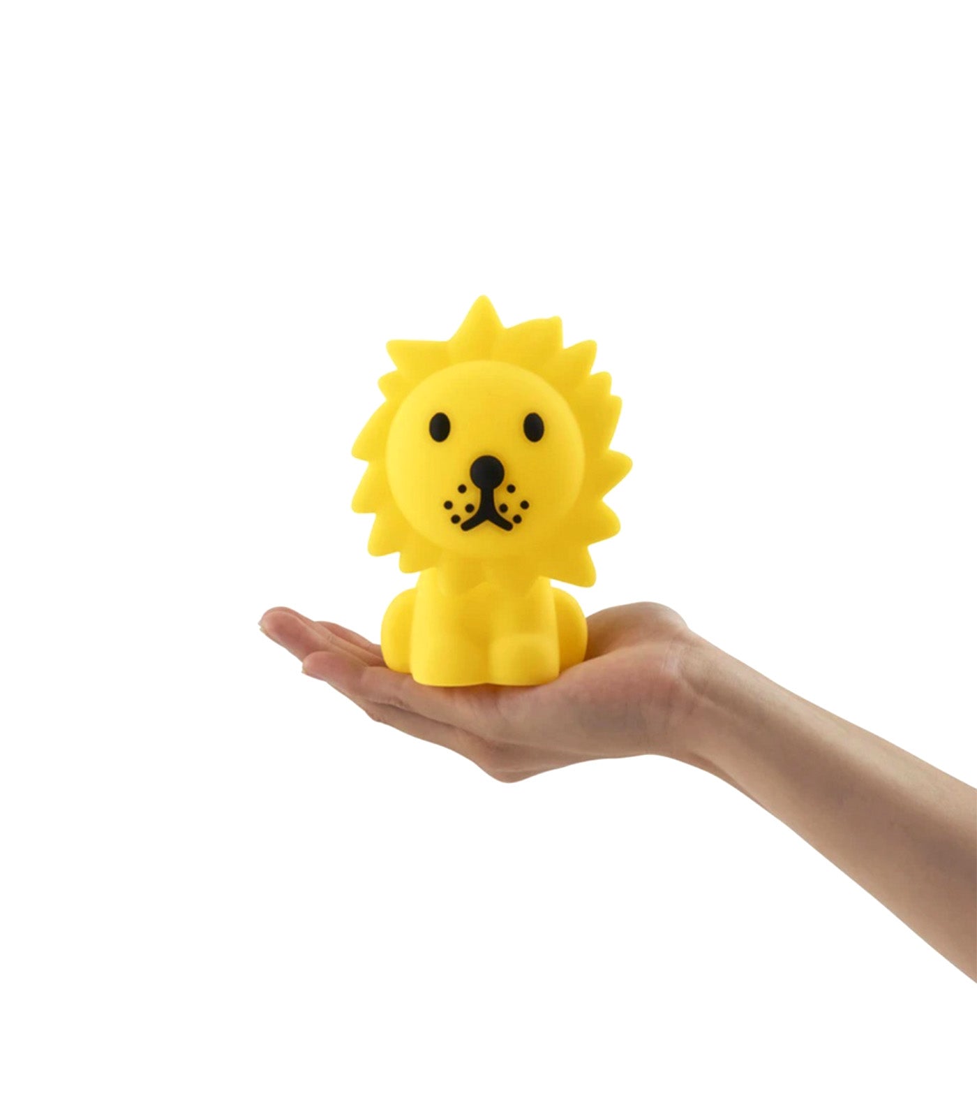 Bundle of Light Lion