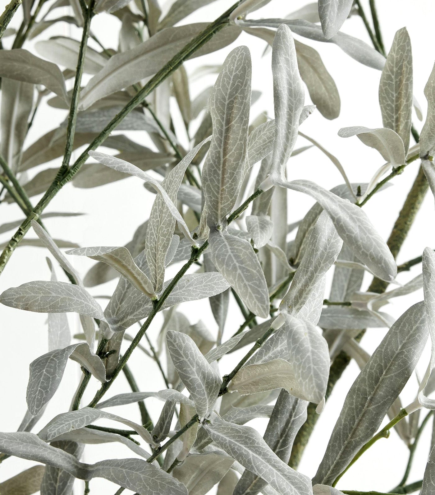 Faux Fading Olive Branch Fade