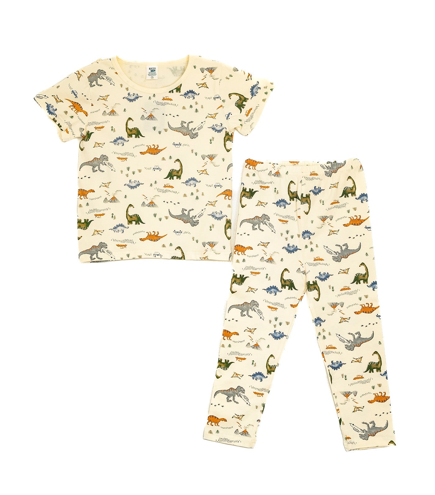 Boys Lounge Wear Collection Tee and Pants Dino Print