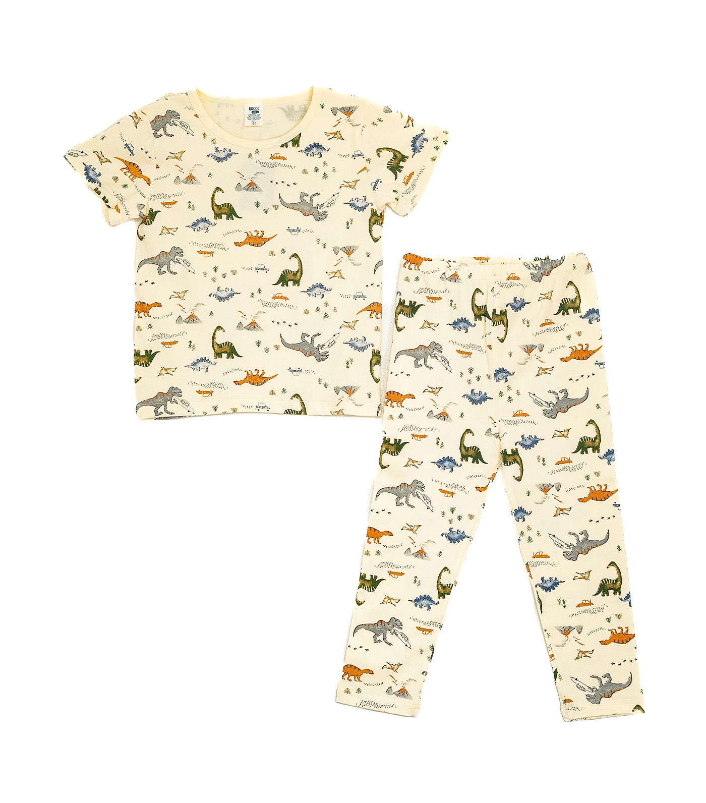 Boys Lounge Wear Collection Tee and Pants Lt. Dino Print