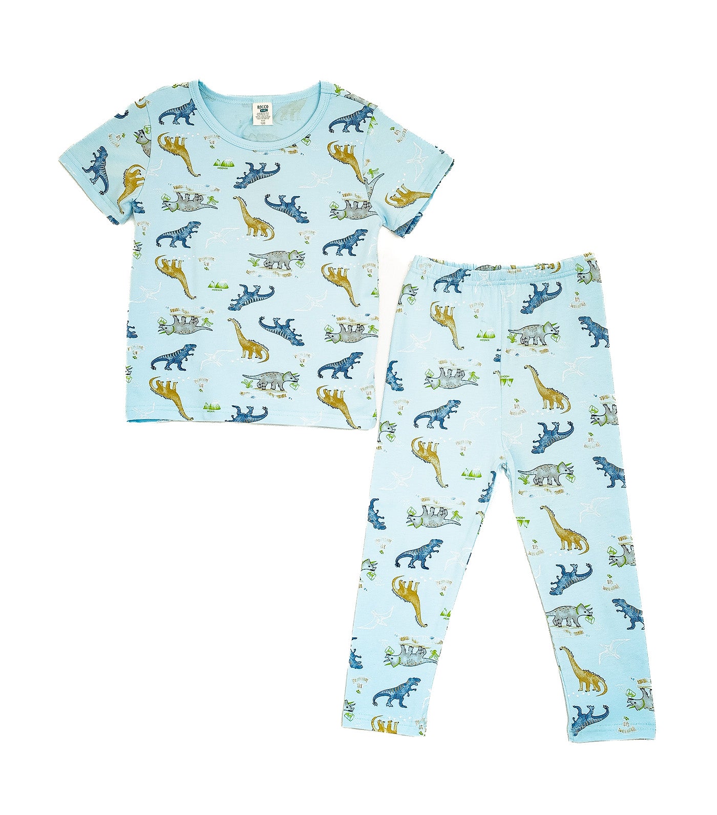 Boys Lounge Wear Collection Tee and Pants Lt. Dino Print