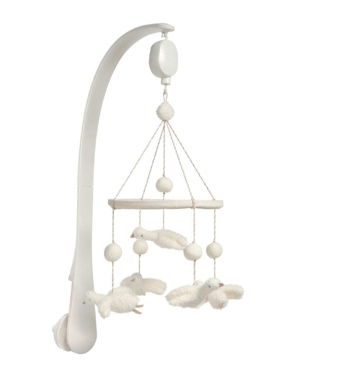 Welcome to the World Duckling