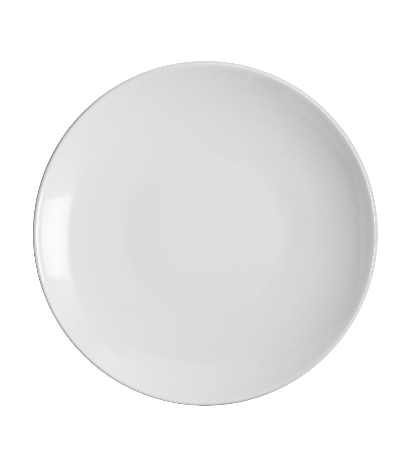 Mason Stoneware Dinner Plate