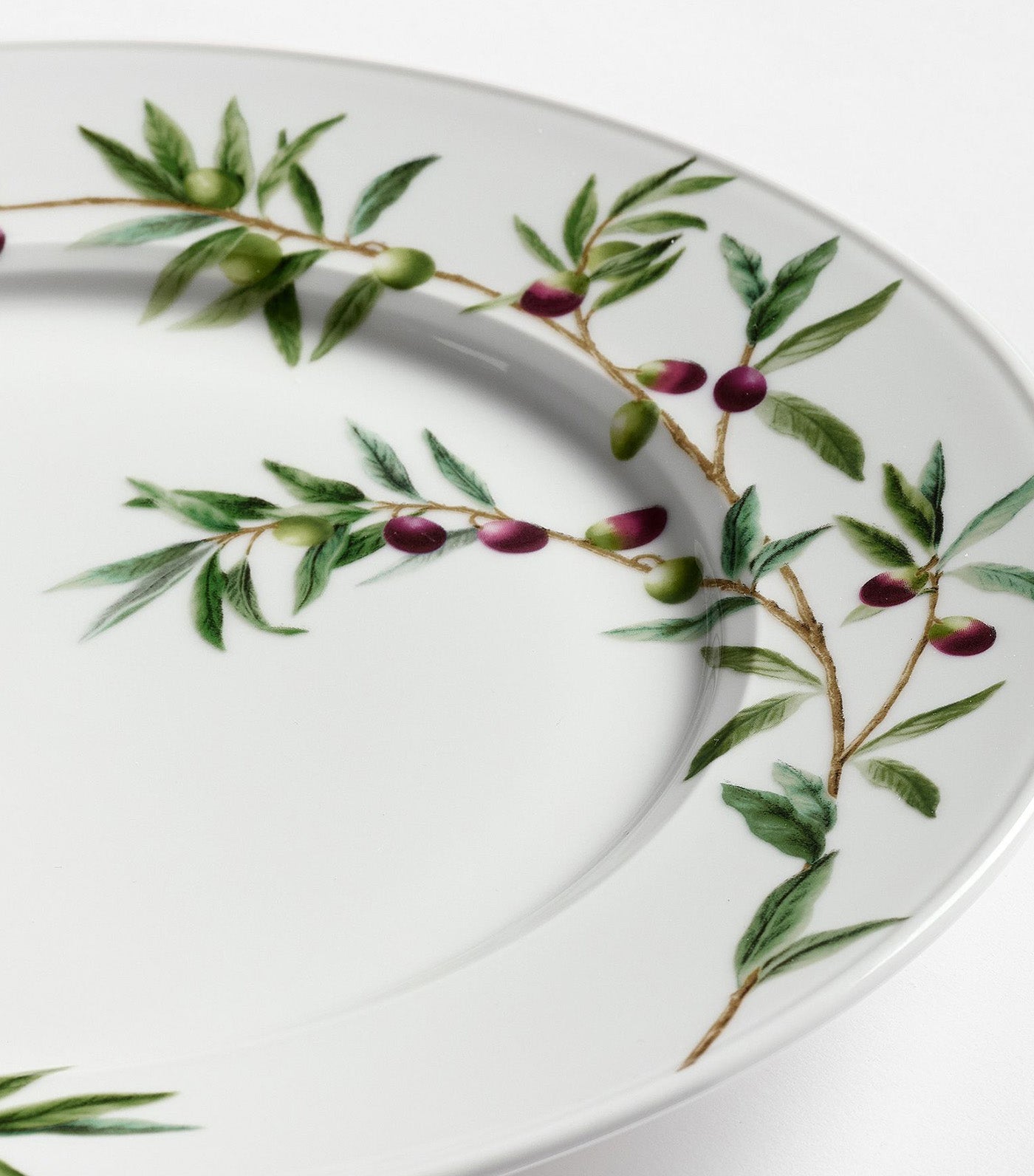 Monique Lhuillier Olive Orchard Dinnerware Collection