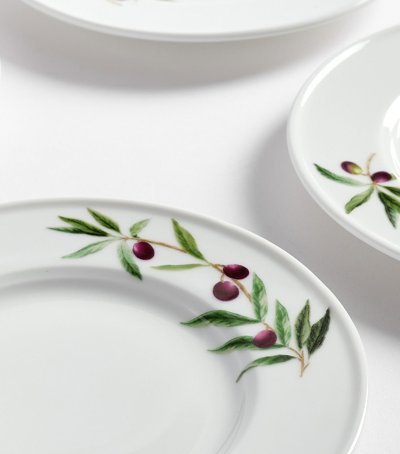 Monique Lhuillier Olive Orchard Dinnerware Collection