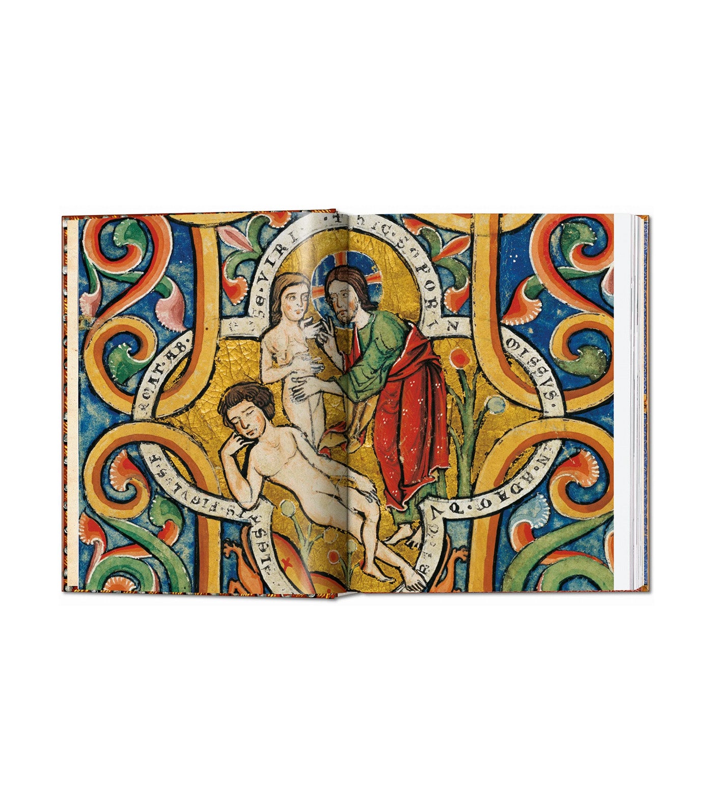 The Book of Bibles 40th Ed.