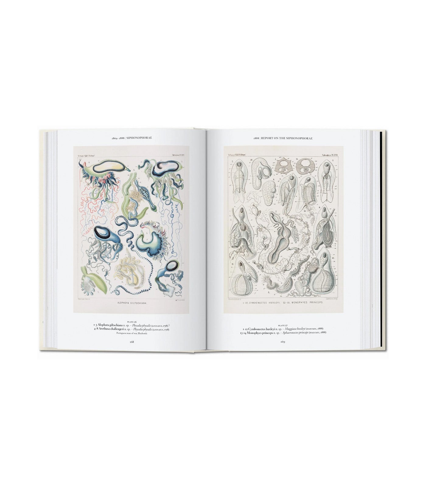 The Art and Science of Ernst Haeckel 40th Ed.
