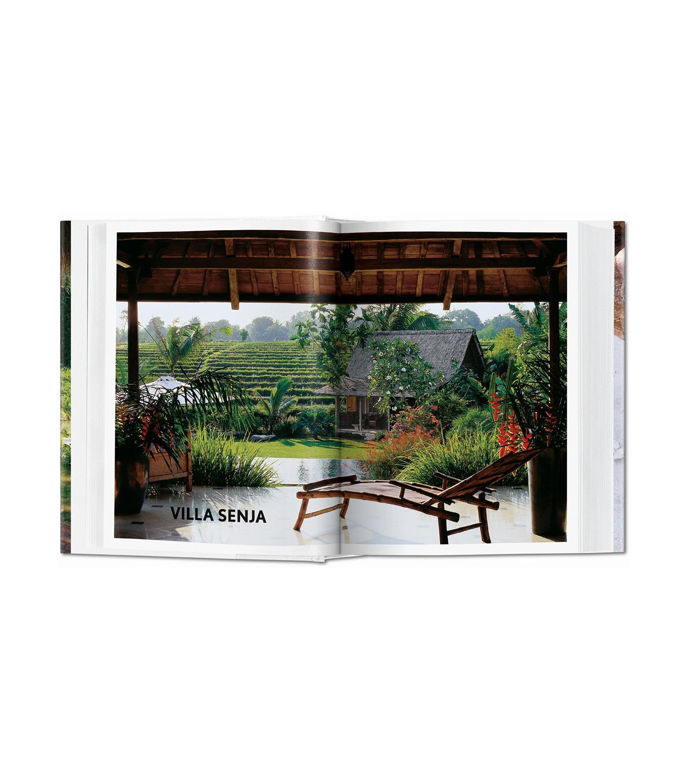 Living in Bali 40th Ed.