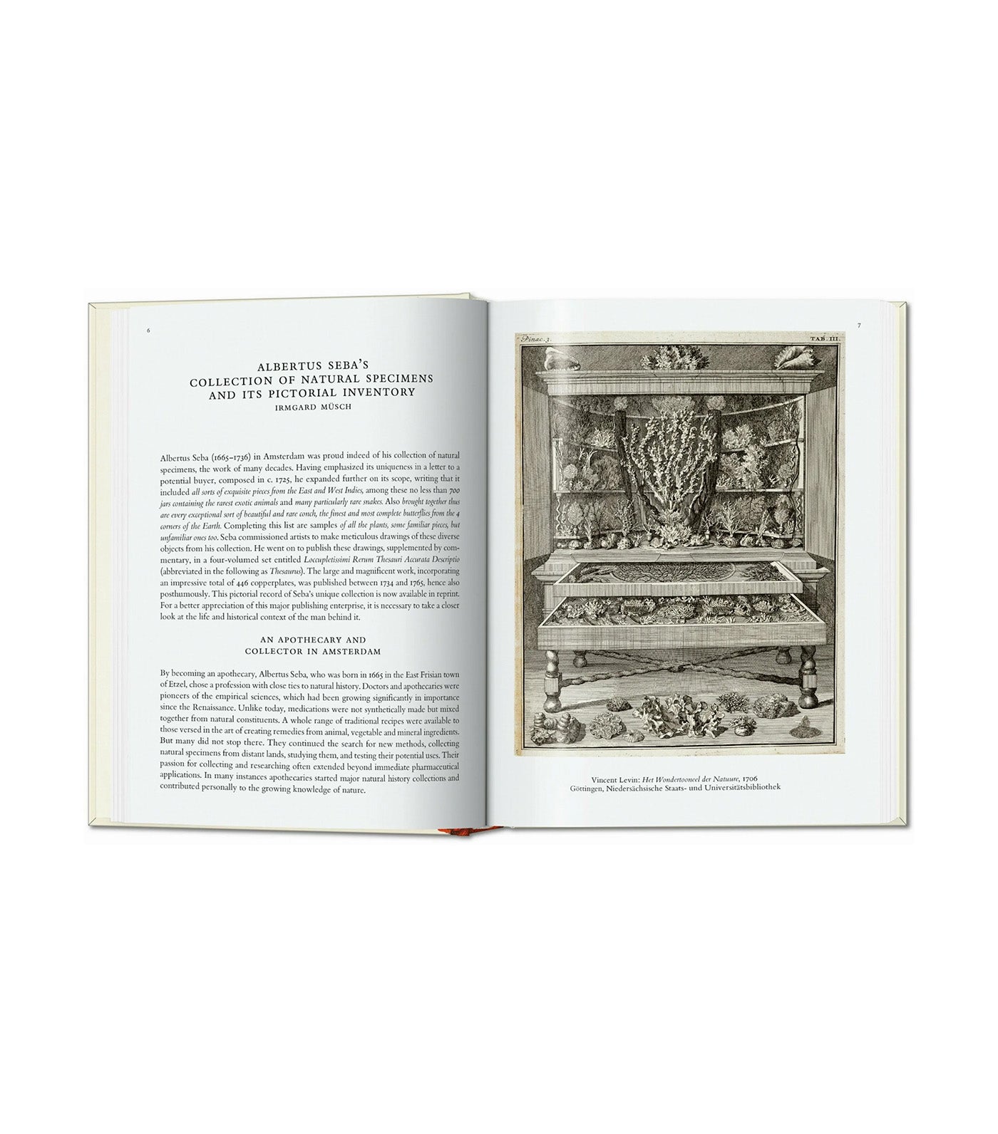 Seba Cabinet of Natural Curiosities 40th Ed.