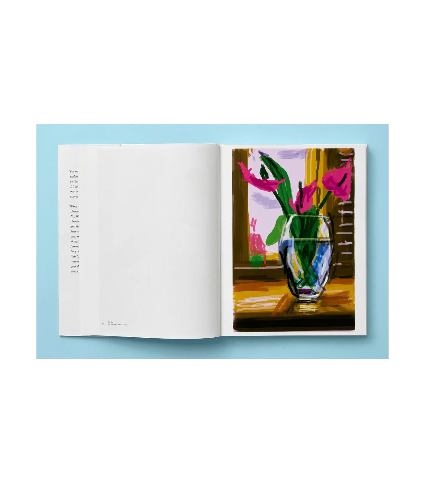 David Hockney, My Window