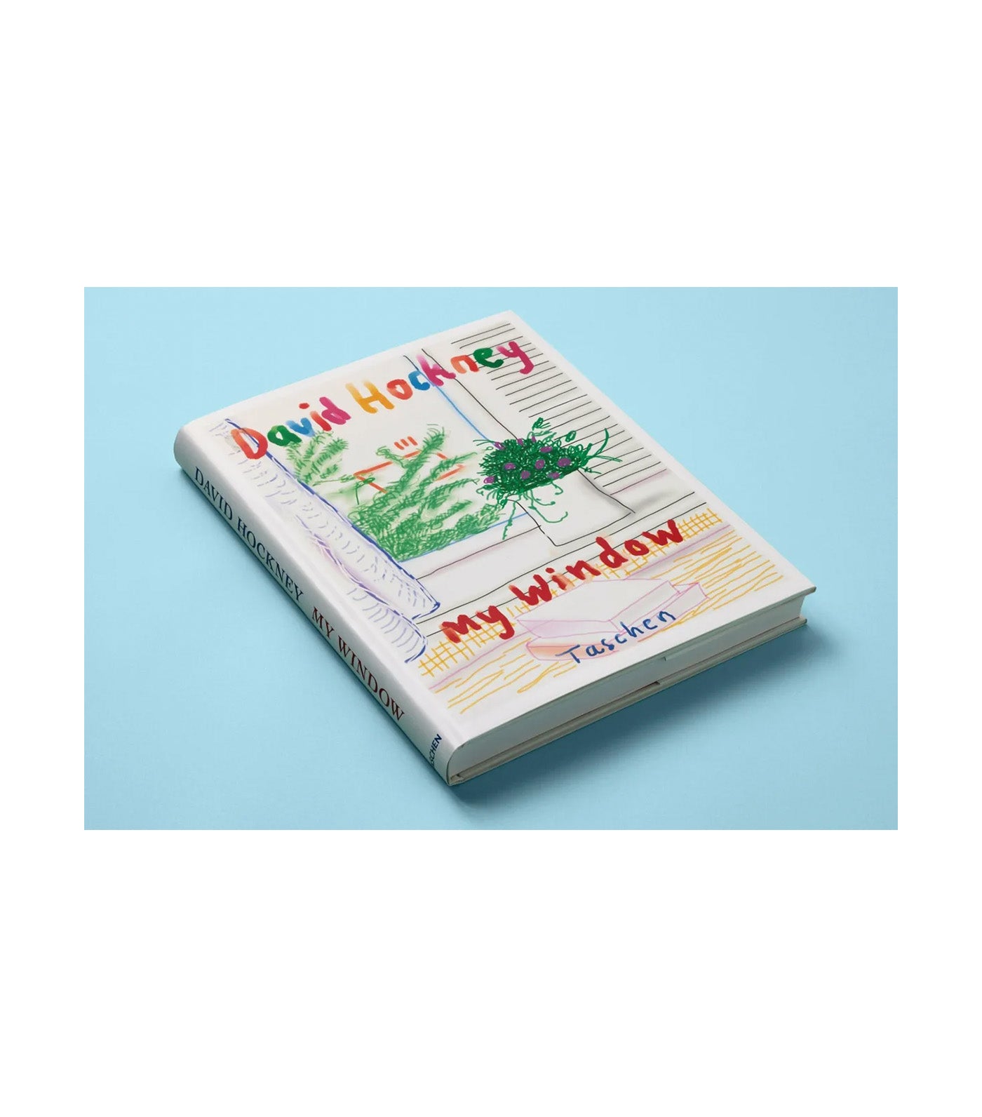 David Hockney, My Window