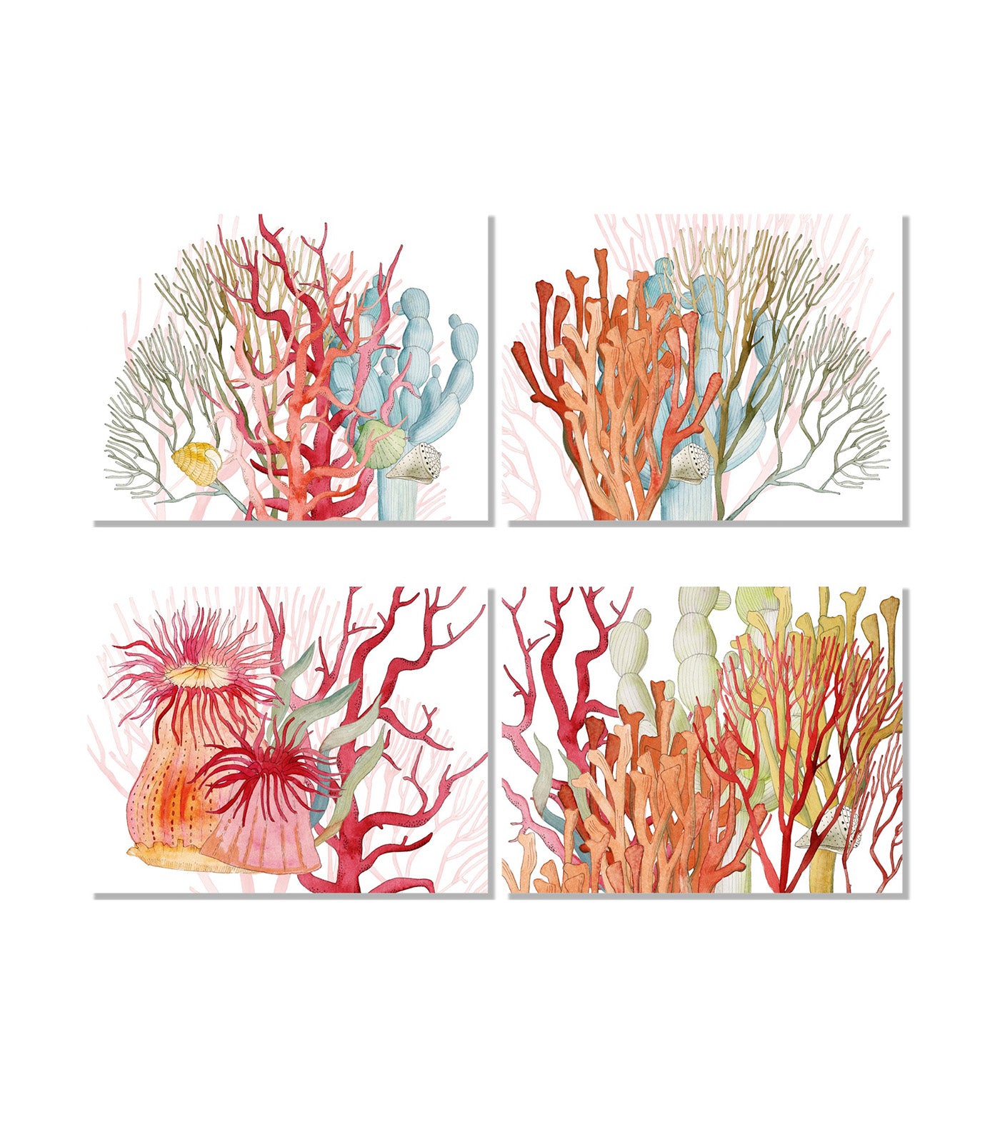 Corals Premium Linen Collection